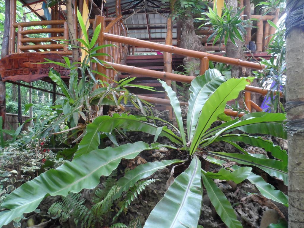 Victoria Guest House And Cottages Puerto Princesa Eksteriør bilde