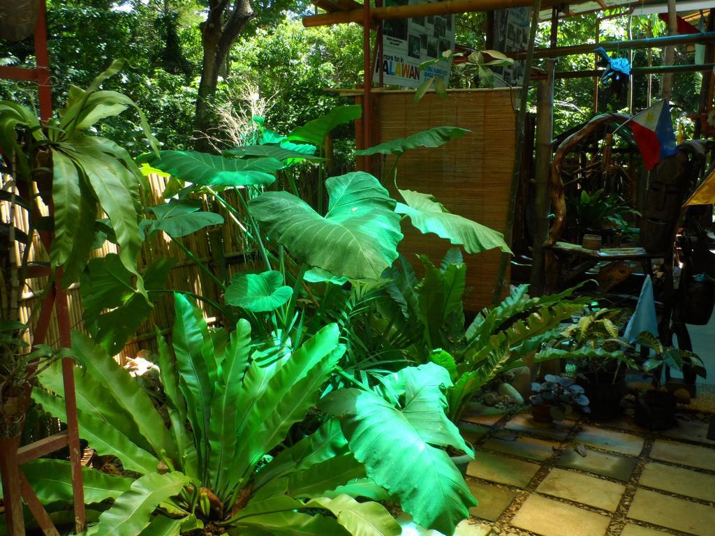 Victoria Guest House And Cottages Puerto Princesa Eksteriør bilde
